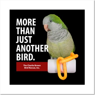 CB More than Another Bird Posters and Art